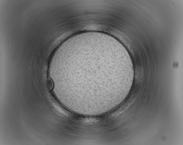 X0000094060445200711091132