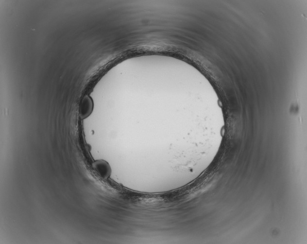 X0000094060446200711091132
