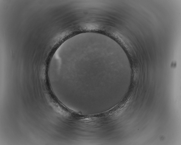 X0000094060447200711091132