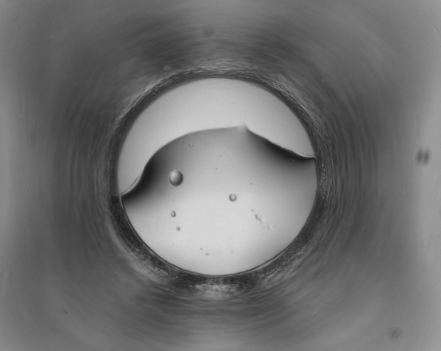 X0000094060448200711091132