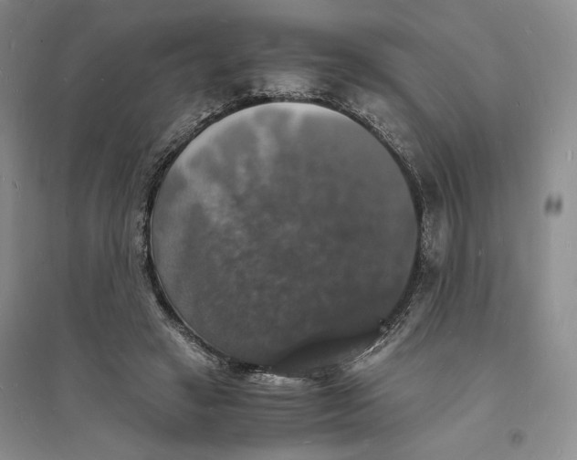 X0000094060449200711091132