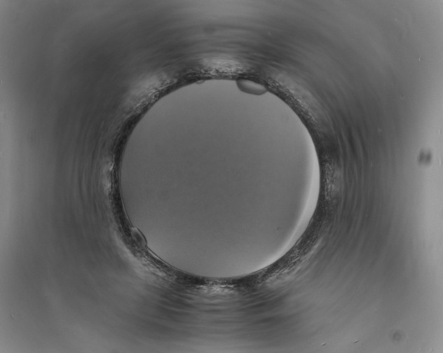 X0000094060451200711091132
