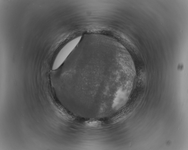 X0000094060452200711091132