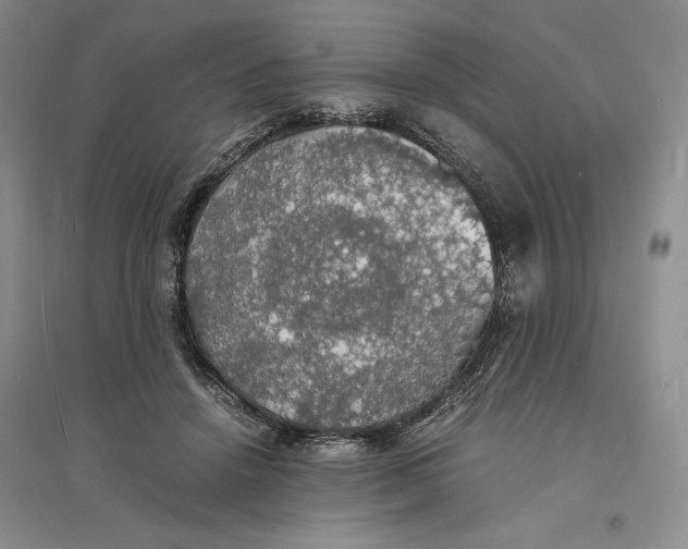 X0000094060456200711091132