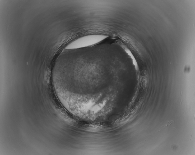 X0000094060458200711091132