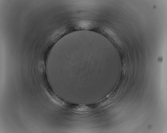 X0000094060459200711091132