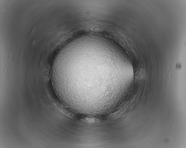 X0000094060464200711091132