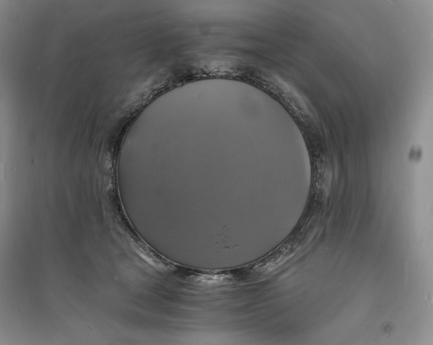X0000094060465200711091132