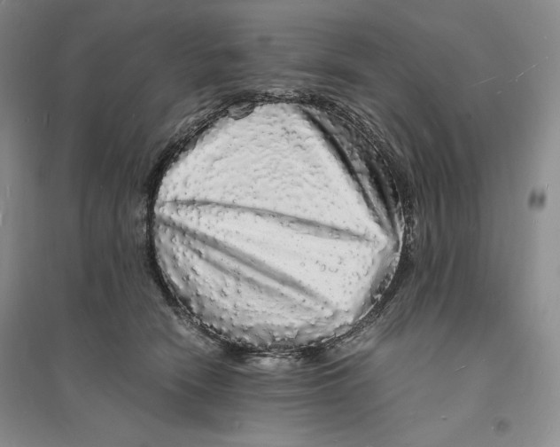 X0000094060466200711091132