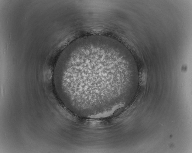 X0000094060472200711091132