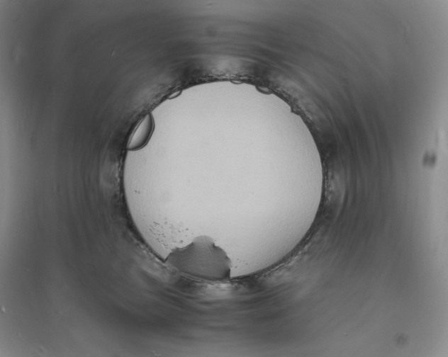 X0000094060473200711091132