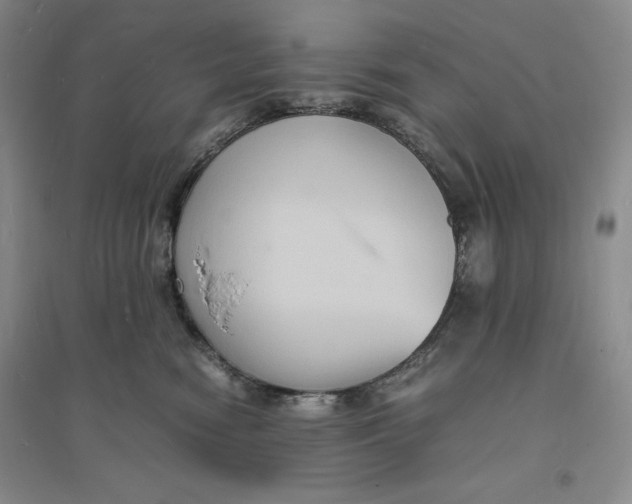 X0000094060474200711091133