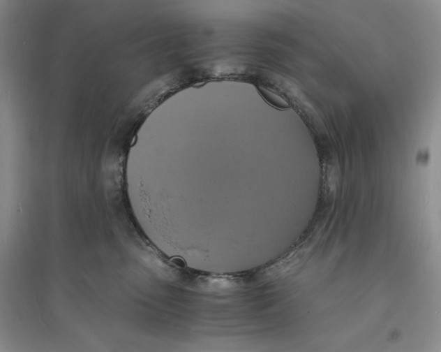 X0000094060475200711091133