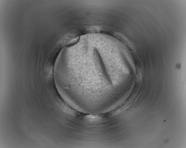 X0000094060477200711091133