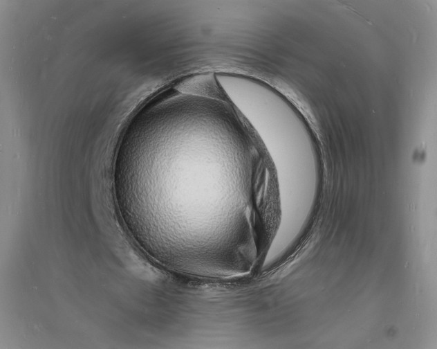 X0000094060481200711091132