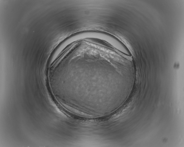 X0000094060485200711091132