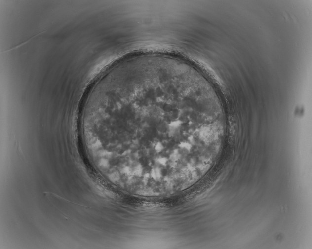 X0000094060487200711091131