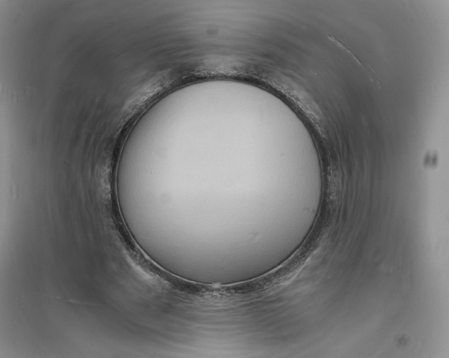 X0000094060489200711091131