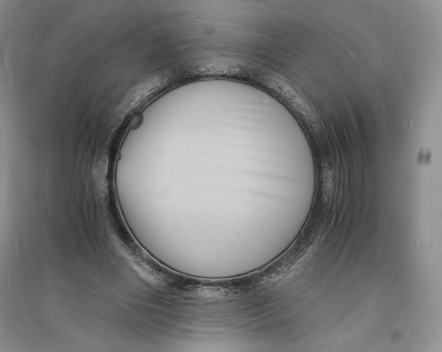X0000094060490200711091131