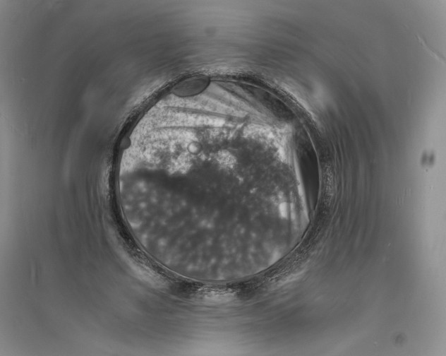 X0000094060491200711091131