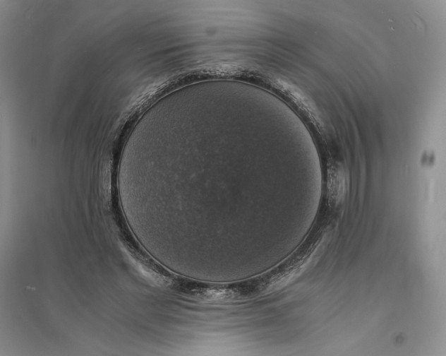 X0000094060493200711091131