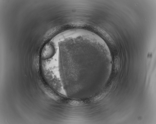 X0000094060494200711091131