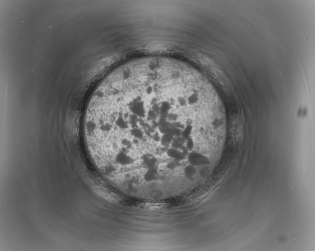 X0000094060495200711091131