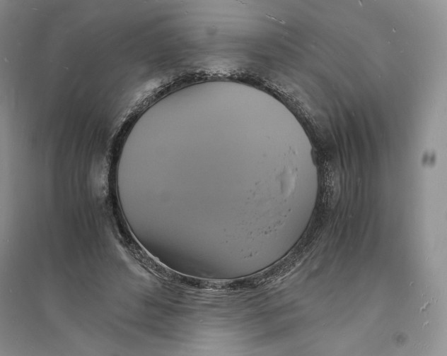 X0000094060496200711091131
