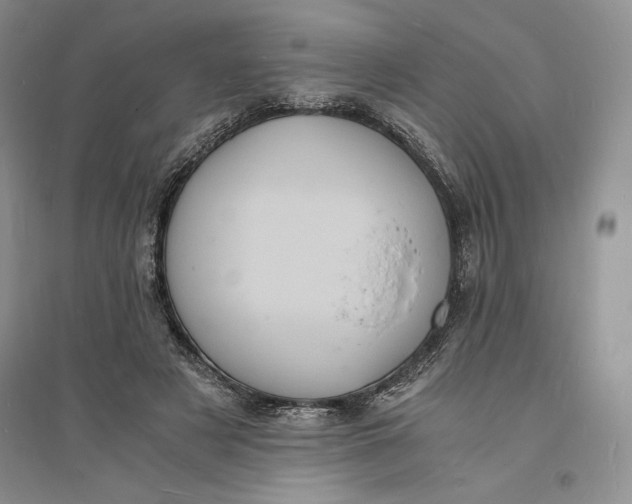 X0000094060497200711091131