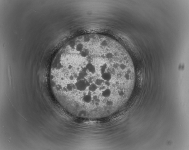 X0000094060499200711091131