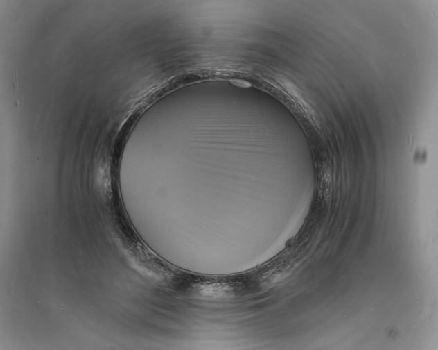 X0000094060500200711091131