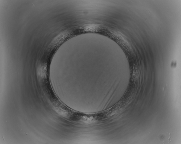 X0000094060502200711091131