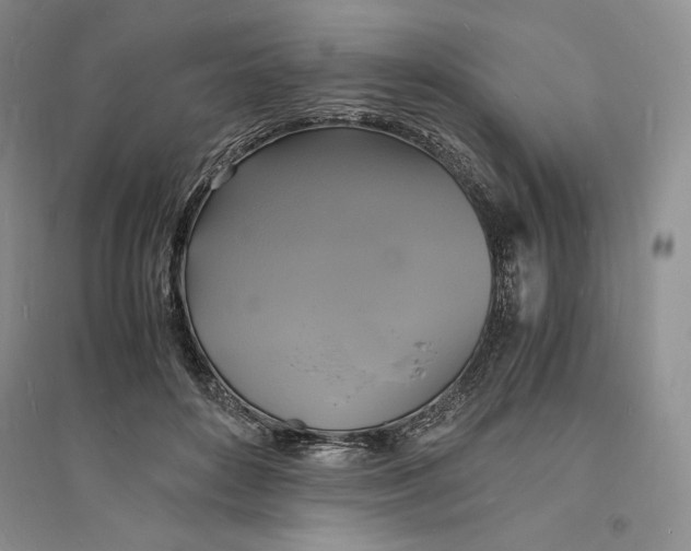 X0000094060504200711091131