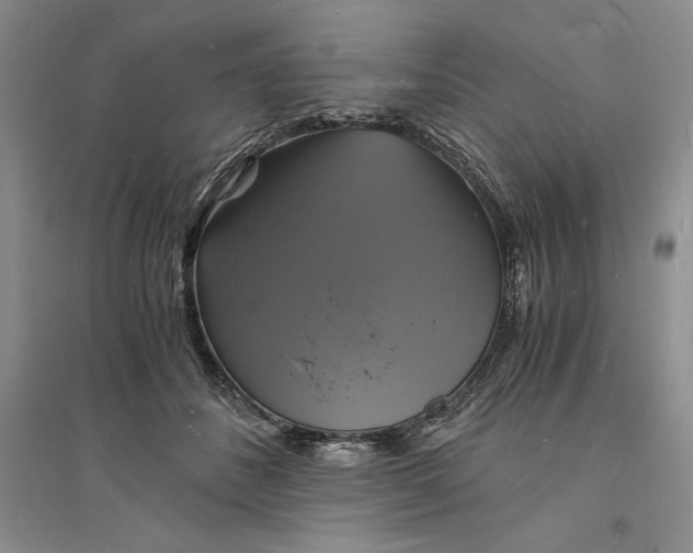 X0000094060508200711091131