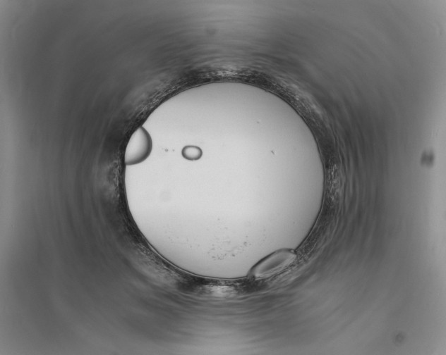 X0000094060509200711091131