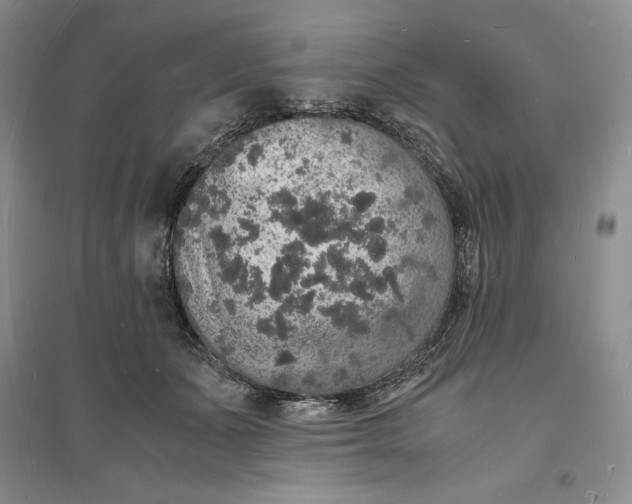 X0000094060511200711091131