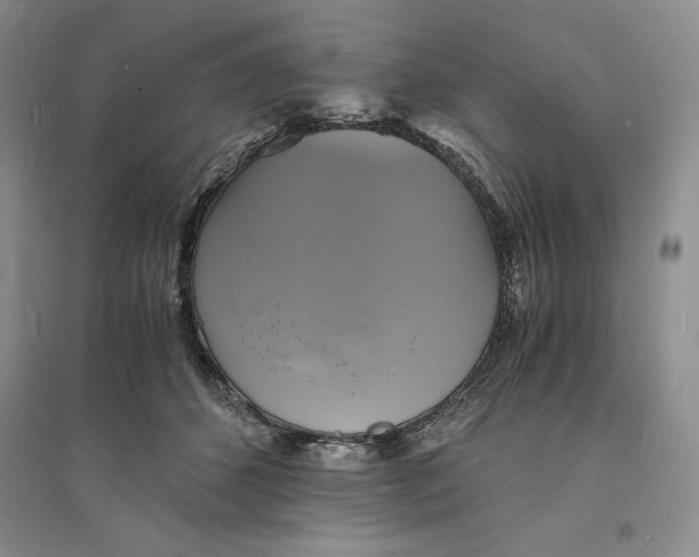 X0000094060512200711091131