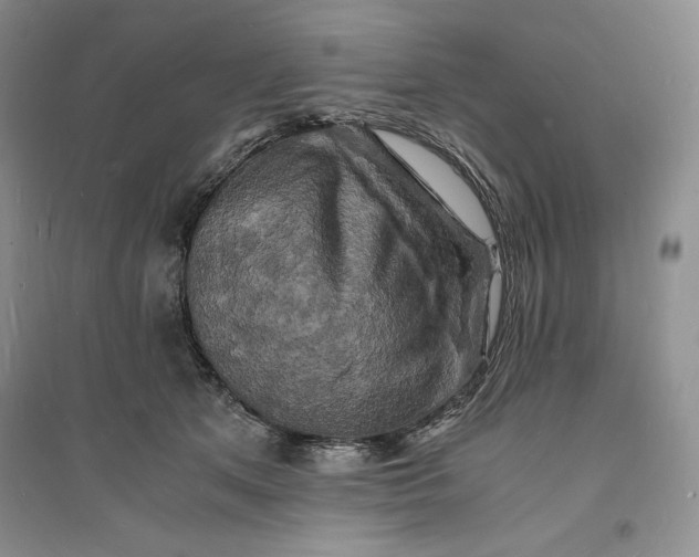 X0000094060513200711091131