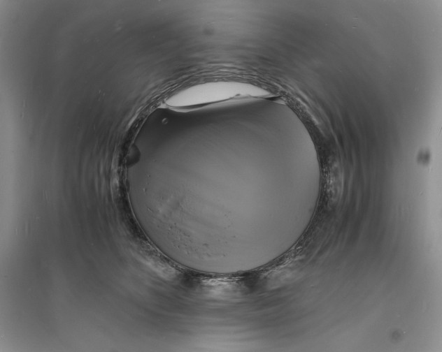 X0000094060516200711091131