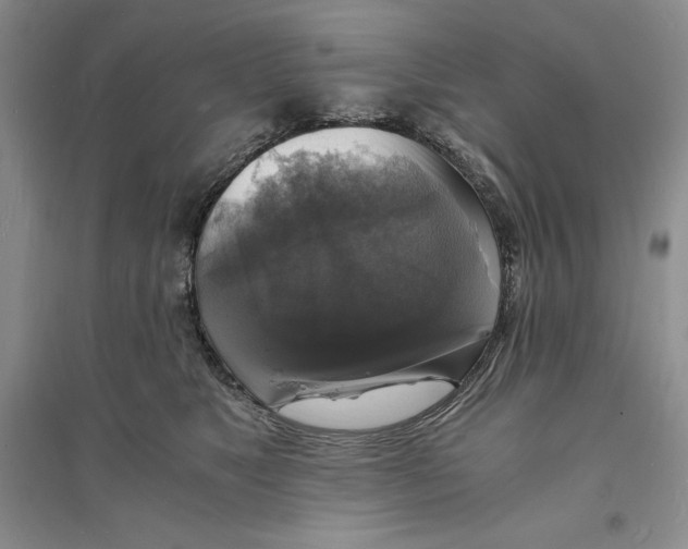 X0000094060517200711091131