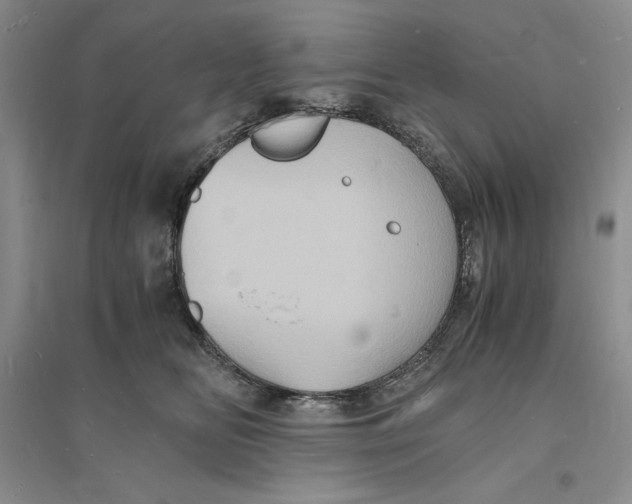 X0000094060518200711091131