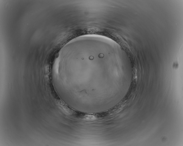 X0000094060519200711091131