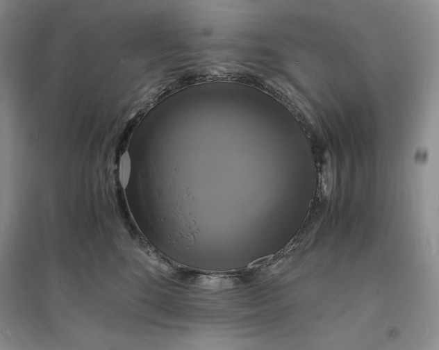 X0000094060520200711091131