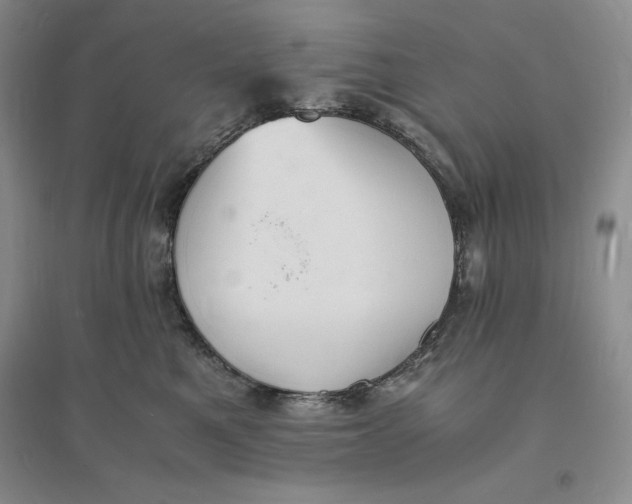 X0000094060521200711091131