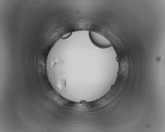 X0000094060522200711091131