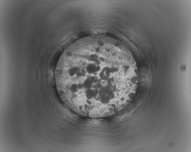 X0000094060523200711091131