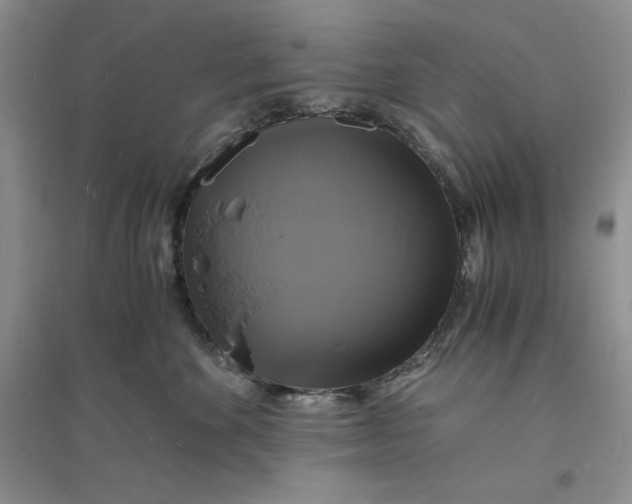 X0000094060524200711091131