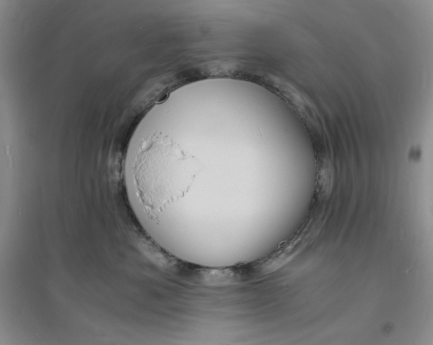 X0000094060525200711091131