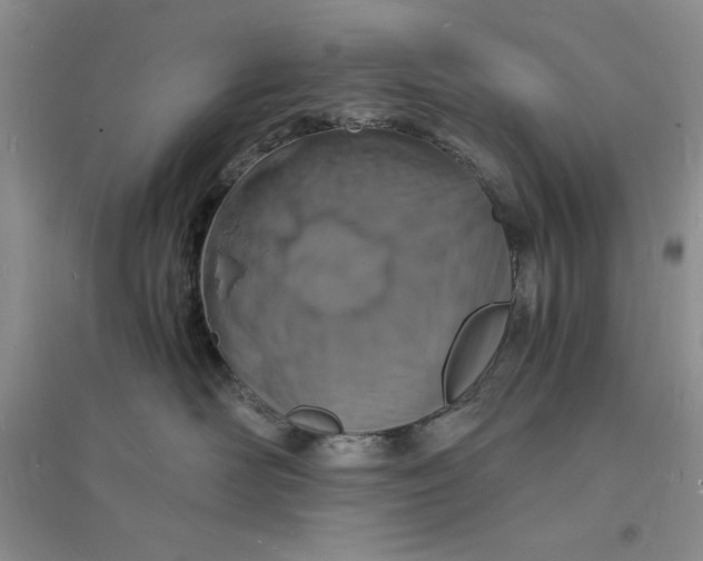 X0000094060526200711091131