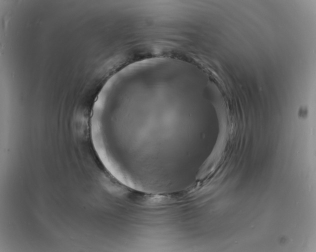 X0000094060527200711091131